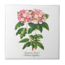 Buscar flores vintage azulejos Elegante