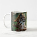 Buscar lince tazas Gato
