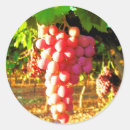 Buscar uvas rojas postales Vid