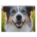 Buscar mascota calendarios Foto