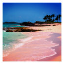 Buscar aguas turquesas posters Tropical