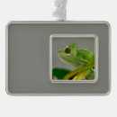 Buscar camaleones adornos Reptil