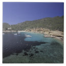 Buscar ibiza azulejos Playa