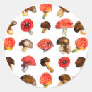 Buscar amanita pegatinas Bosque