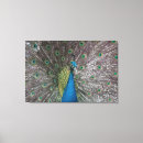 Buscar triptych lienzos Tríptico