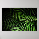 Buscar follaje tropical posters Hoja
