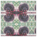 Buscar miniatura telas Caniche