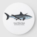 Buscar shark relojes de pared Sea