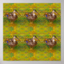 Buscar dibujo abstracto posters Naturaleza