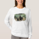 Buscar arctos camisetas Animal