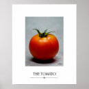 Buscar tomate arte Fruta