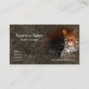 Buscar bengala tarjetas de visita Gatito