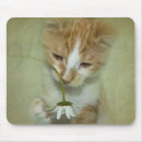 Buscar el jugar del gato alfombrillas de raton Para todos