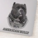 Buscar american bully postales Americano