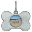 Buscar playa collares Perros