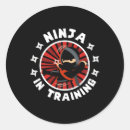 Buscar amantes del karate pegatinas Ninja