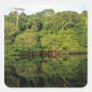 Buscar amazonas pegatinas Brasil