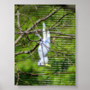 Buscar cuelga posters Animales