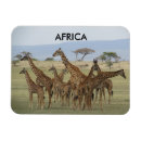 Buscar namibia imanes Safari