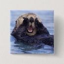 Buscar alaska chapas Mar