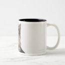 Buscar yorkshire tazas Humor