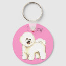 Buscar bichon llaveros Frise del bichon