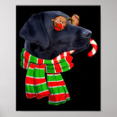 Buscar labrador retriever negro posters Vacaciones