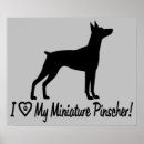 Buscar pinscher miniatura posters Miniaturas