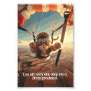 Buscar fotos de animales posters 9 º gata