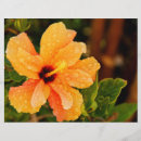 Buscar flores tropicales flyers Floral