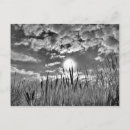 Buscar foto del cielo postales Sol