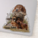 Buscar setter pegatinas Caza