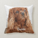 Buscar cariñoso cojines Animal