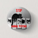 Buscar animal chapas Gato