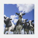 Buscar agricultura imanes Animal