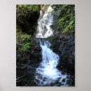 Buscar cascada del bosque posters Selva