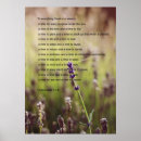 Buscar prado posters General y unisex