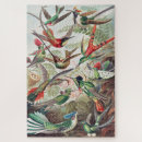 Buscar pinturas del colibrí puzzles Vintage