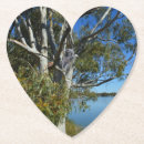 Buscar koala en árbol posavasos 6 º pesadilla