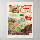 Buscar langosta posters Vintage