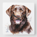 Buscar chocolate hermoso decoracion Labrador