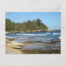 Buscar hawaianas postales Costero