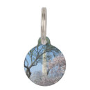 Buscar festival collares General y unisex