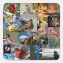 Buscar adulto manualidades Para todos