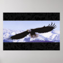 Buscar aves rapaces posters Animales
