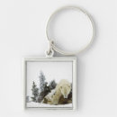 Buscar principio llaveros Naturaleza