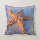 Buscar estrellas de mar blancas cojines Playa