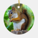 Buscar chipper Naturaleza