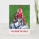 Buscar funny rooster tarjetas Gallo
