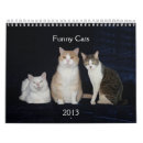 Buscar gatitos calendarios Humor